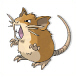 Raticate - (Kanto)