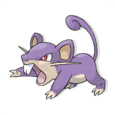 Rattata