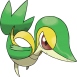 Snivy - (Unova)