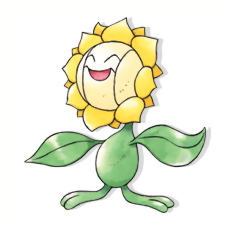 Sunflora