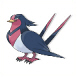 Swellow - (Hoenn)