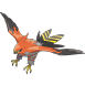 Talonflame - (Kalos)