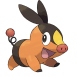 Tepig