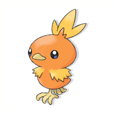 Torchic