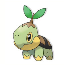 Turtwig