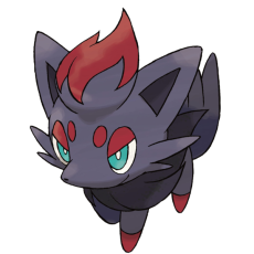 Zorua