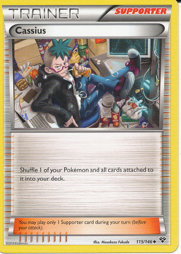 Cassius - (XY)