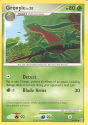 Grovyle - (Platinum - Arceus)