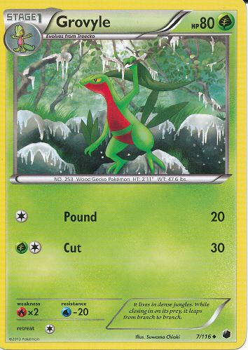 Grovyle - (Plasma Freeze)