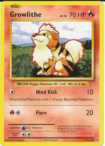 Growlithe - (Evolutions)