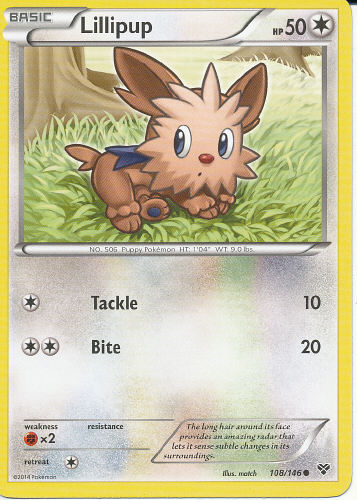 Lillipup - (XY)