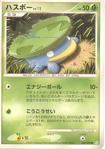 Caitlyn S Pokemon Card Collection Hasuboo Lotad Card
