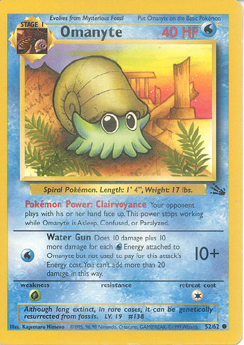 Omanyte - (Fossil)