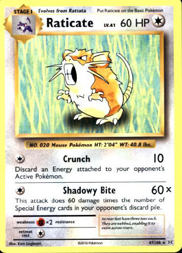 Raticate - (Evolutions)