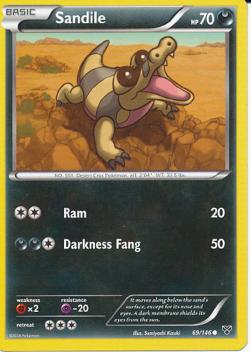 Sandile - (XY)