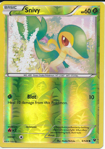 Snivy (Reverse Holo) - (Fates Collide)