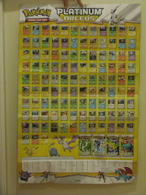 Arceus Poster (Back)