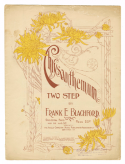 Chrysanthemum, Frank E. Blachford, 1895