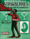 Strawberries, Thomas S. Allen, 1909