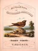 Whippoorwill Schottisch, T. Bricher, 1856