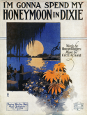I'm Gonna Spend My Honeymoon In Dixie, Cecil Arnold, 1919
