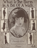 What Is The Harm In A Bit Of A Walk, Norman McNiel, 1919