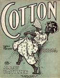 Cotton, Albert Von Tilzer, 1907