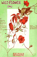 Wild Flower Rag, Carlotta Williamson, 1910