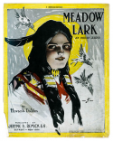 Meadow Lark, Howard Dalton, 1910