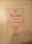 Rosebud, Frank Hilsher, 1907