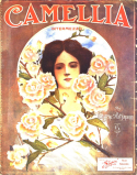 Camelia, Eugene Platzmann, 1907