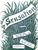 Sensation, Joseph Francis Lamb, 1908