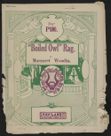 Boiled Owl Rag, Margaret Woodin, 1911