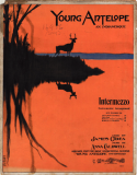 Young Antelope, Anna Caldwell, 1906
