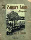 A Shady Lane, Max C. Eugene, 1906