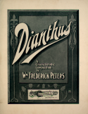 Dianthus, William Frederick Peters, 1902