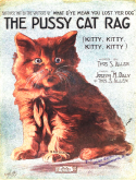 The Pussy Cat Rag, Joseph M. Daly; Thomas S. Allen, 1913