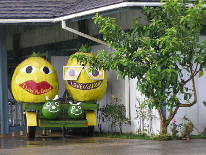 Guava Plantation Entrance