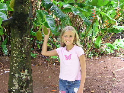 Durian Tree, Fruit, and Girl