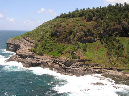 Kilauea Point (right side)