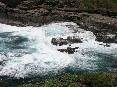 Kilauea Point (looking down)