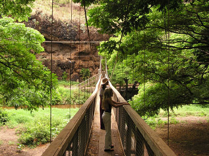 Suspension bridge (near Waimea)