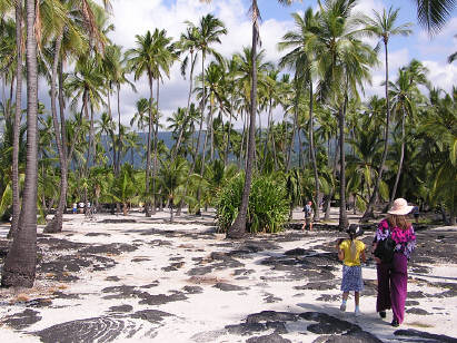Honaunau - Place of Refuge (3 of 3)