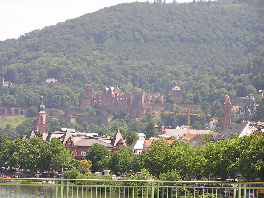 p6030050.jpg