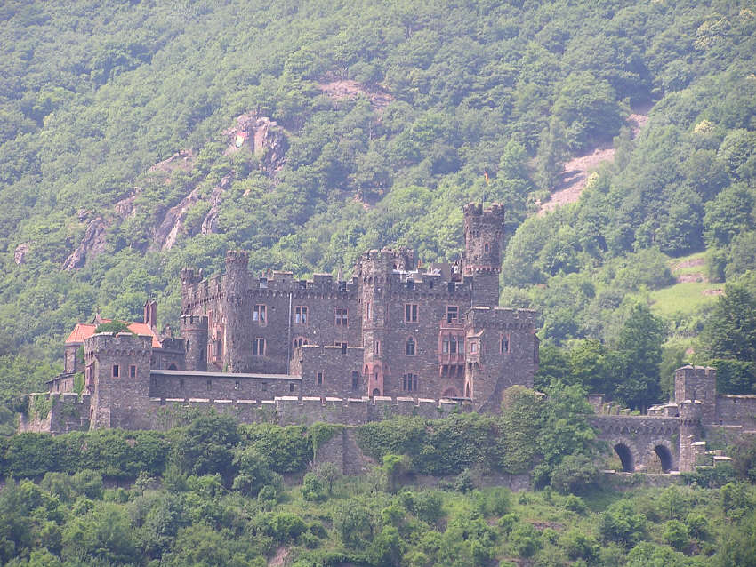 p6150029.jpg