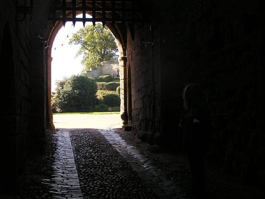 pa180043.jpg