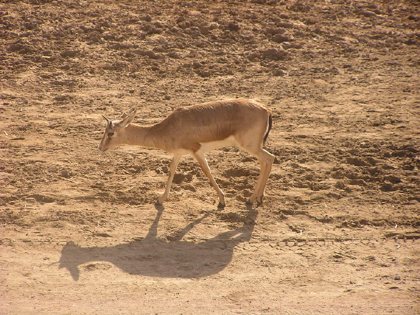 p1080015.jpg