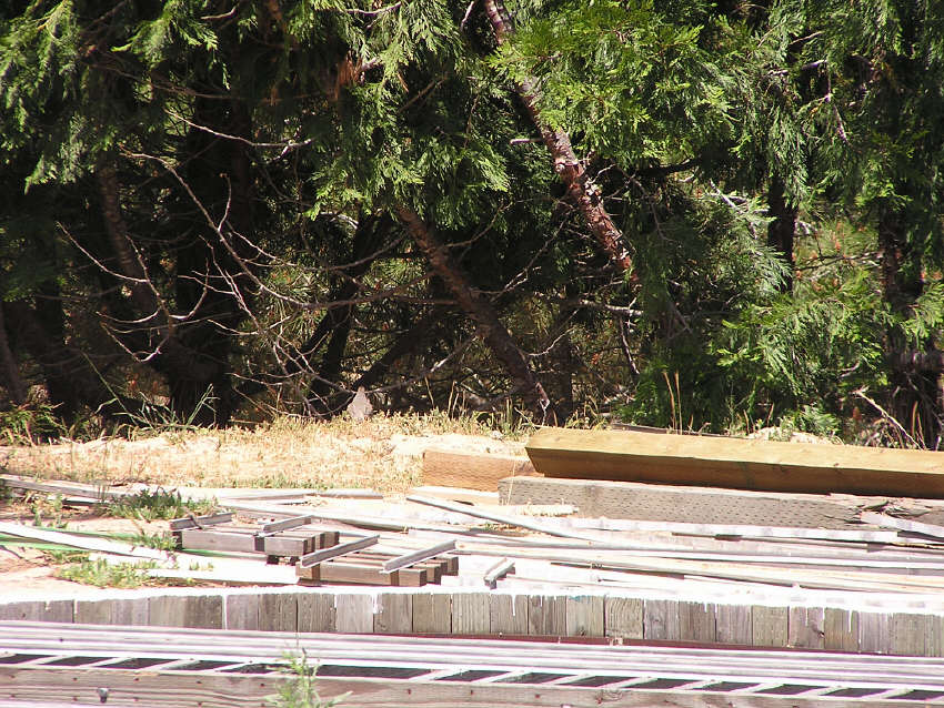 p1010041.jpg