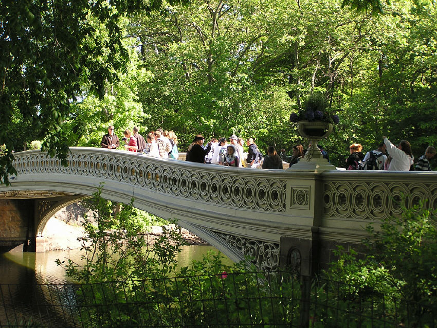 p1010104.jpg