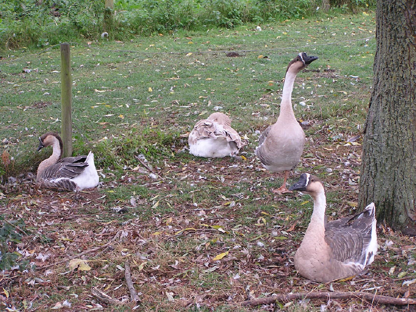 p1010130.jpg